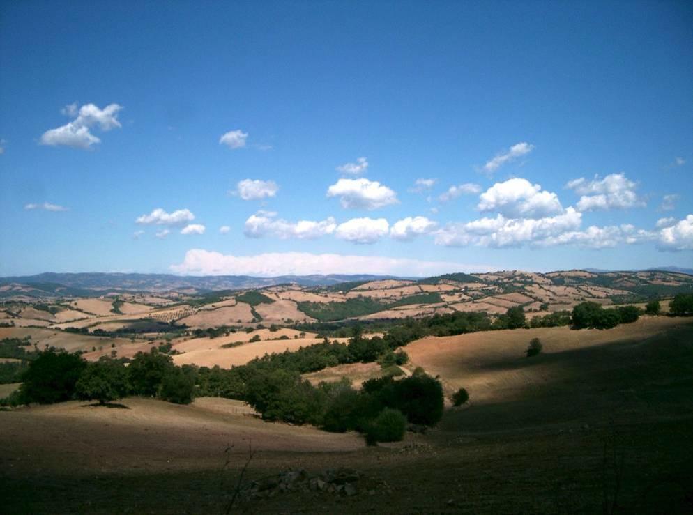 Fattoria Poggio Foco Villa Манчано Екстериор снимка