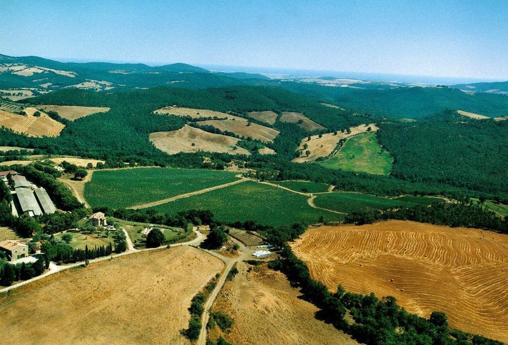 Fattoria Poggio Foco Villa Манчано Екстериор снимка