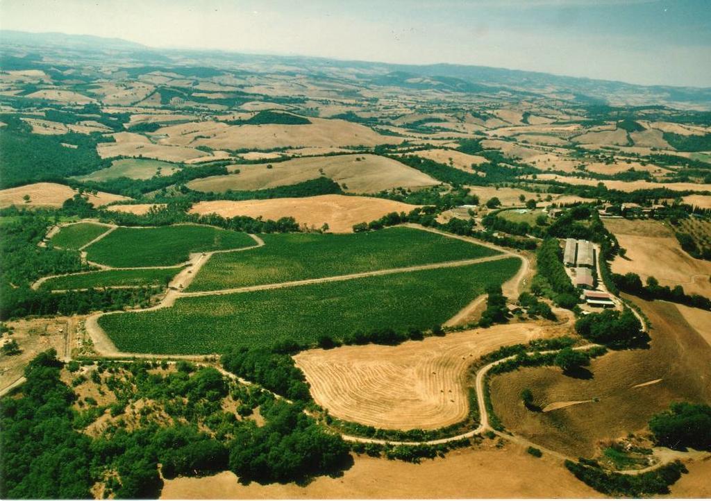 Fattoria Poggio Foco Villa Манчано Екстериор снимка