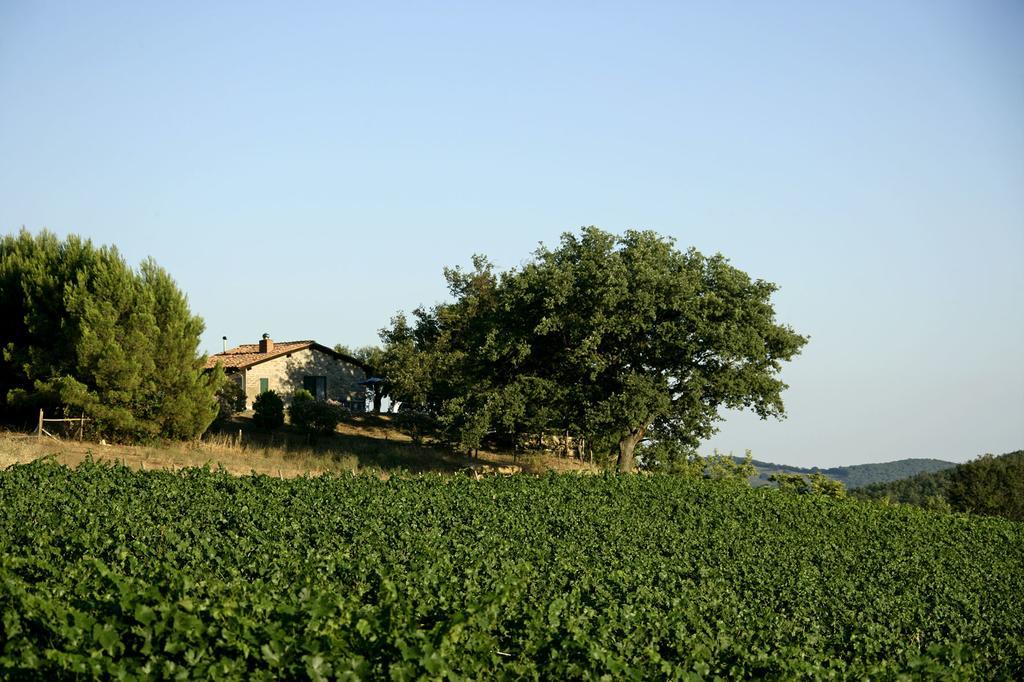Fattoria Poggio Foco Villa Манчано Стая снимка